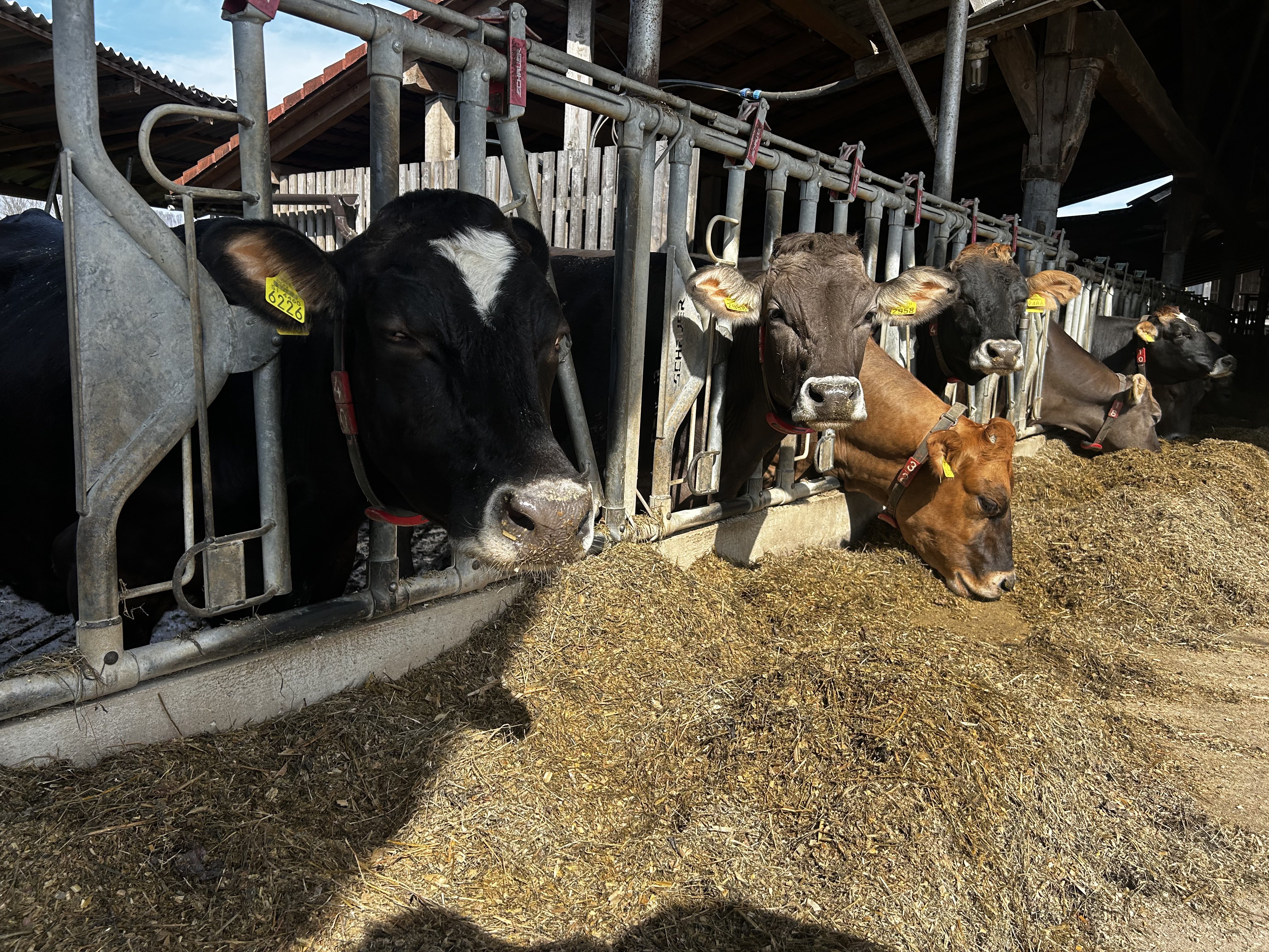 Farm Interior